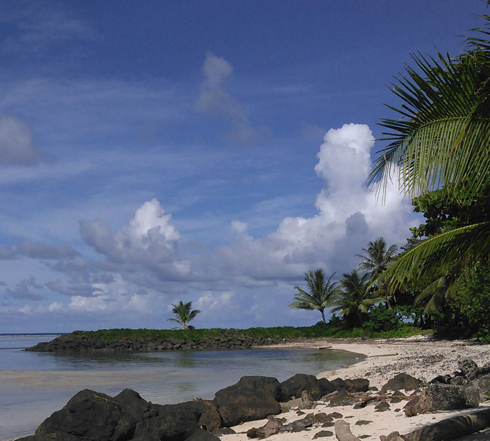 Banner Kosrae 5